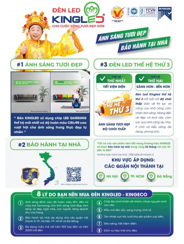 CATALOGUE KINGLED 2025