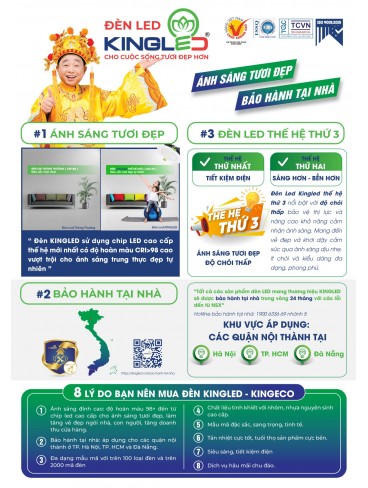 CATALOGUE KINGLED THÁNG 6.2026
