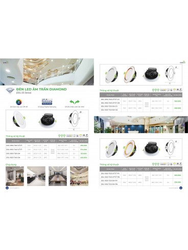 CATALOGUE KINGLED THÁNG 3.2026