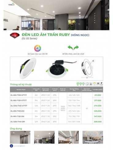CATALOGUE KINGLED THÁNG 6.2026