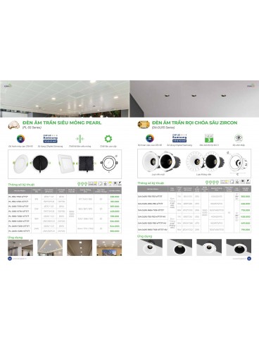 CATALOGUE KINGLED THÁNG 3.2026