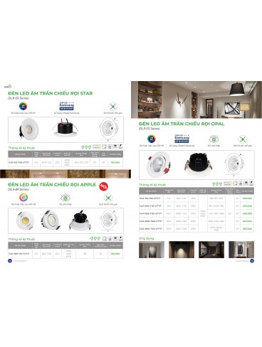 CATALOGUE KINGLED THÁNG 3.2026