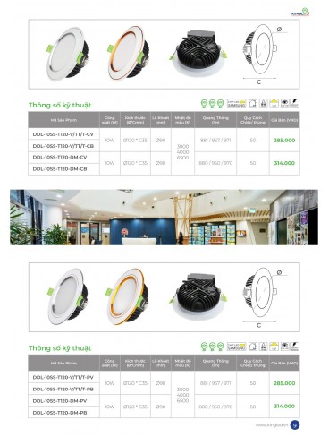 CATALOGUE KINGLED 2025