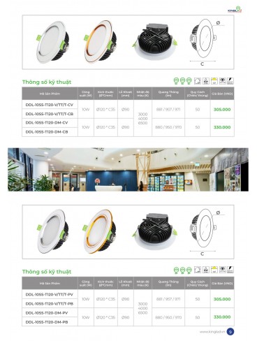 CATALOGUE KINGLED THÁNG 6.2026