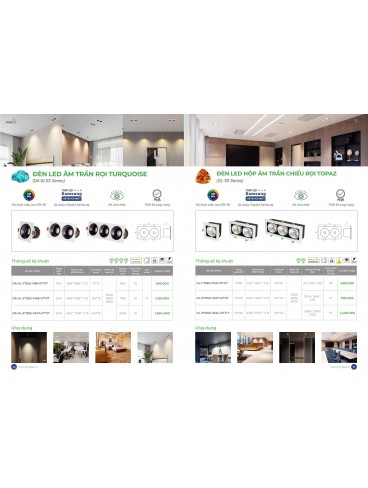 CATALOGUE KINGLED THÁNG 3.2026