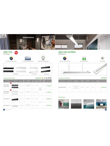 CATALOGUE KINGLED THÁNG 3.2026