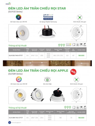 CATALOGUE KINGLED 2025