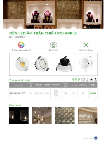 CATALOGUE KINGLED THÁNG 6.2026
