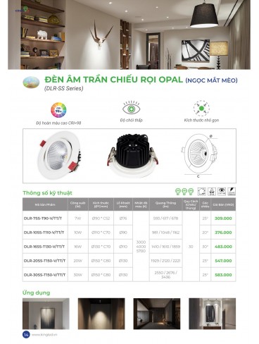 CATALOGUE KINGLED THÁNG 6.2026