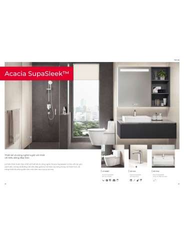 CATALOGUE AMERICAN STANDARD 2026