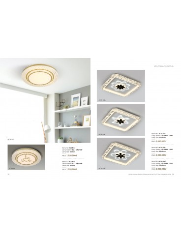 CATALOGUE THÁI KIM LONG 2024