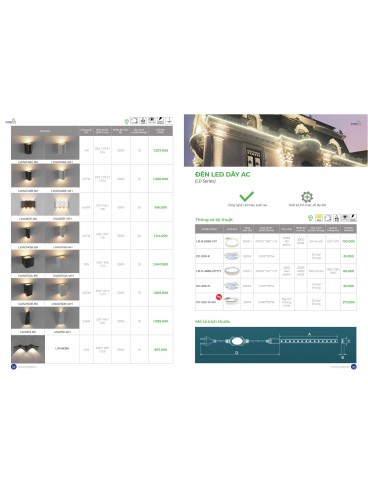 CATALOGUE KINGLED THÁNG 3.2026