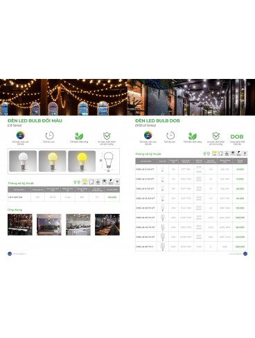 CATALOGUE KINGLED THÁNG 3.2026