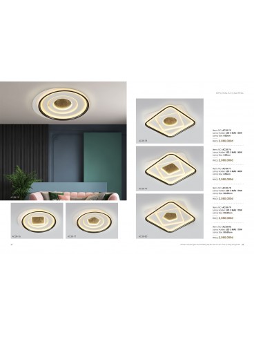 CATALOGUE THÁI KIM LONG 2024