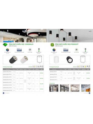 CATALOGUE KINGLED THÁNG 3.2026