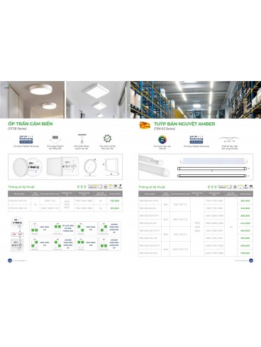 CATALOGUE KINGLED THÁNG 3.2026