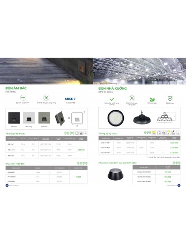 CATALOGUE KINGLED THÁNG 3.2026