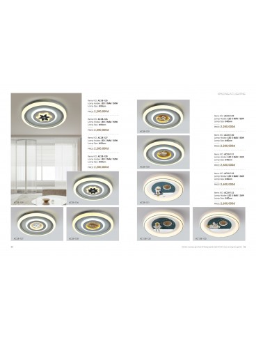 CATALOGUE THÁI KIM LONG 2024