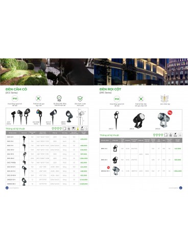 CATALOGUE KINGLED THÁNG 3.2026