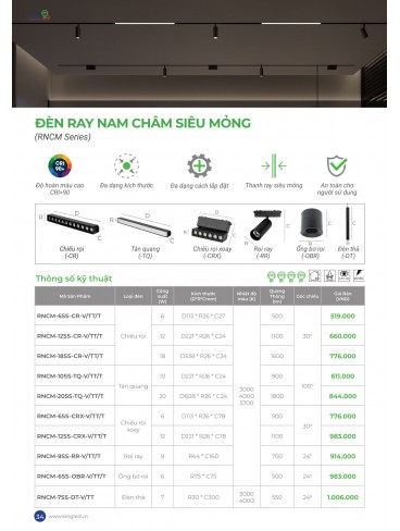 CATALOGUE KINGLED THÁNG 6.2026