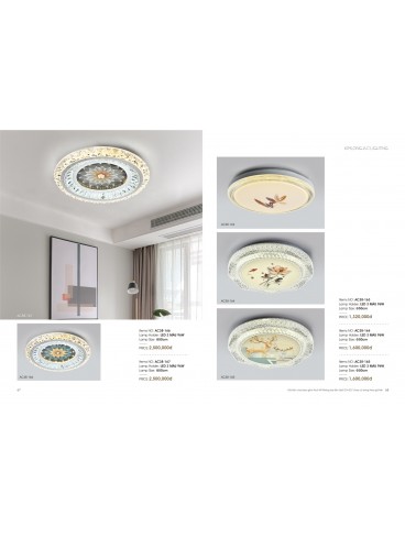 CATALOGUE THÁI KIM LONG 2024