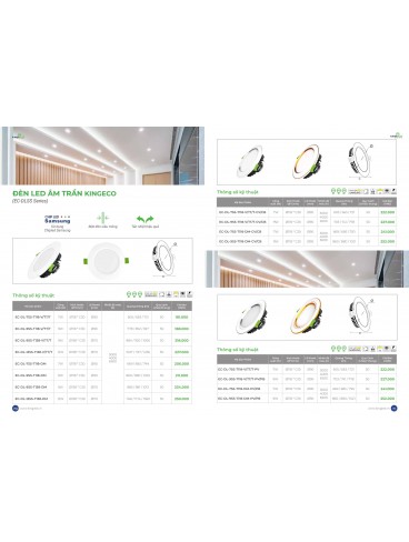 CATALOGUE KINGLED THÁNG 3.2026