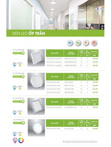 CATALOGUE RẠNG ĐÔNG 2026
