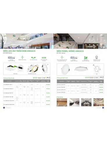 CATALOGUE KINGLED THÁNG 3.2026