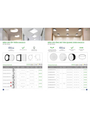 CATALOGUE KINGLED THÁNG 3.2026