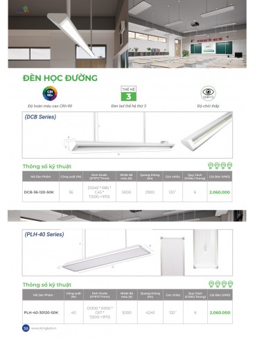CATALOGUE KINGLED THÁNG 6.2026