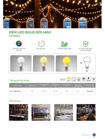 CATALOGUE KINGLED THÁNG 6.2026