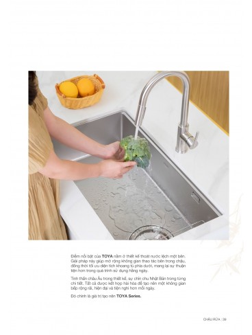 CATALOGUE CHẬU RỬA CHÉN KLUGER 2026