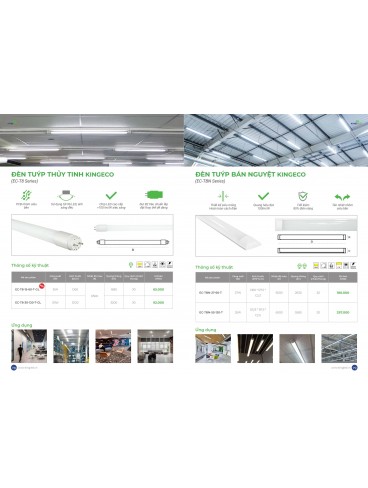 CATALOGUE KINGLED THÁNG 3.2026