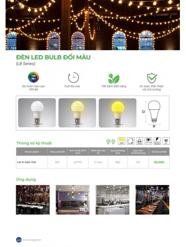 CATALOGUE KINGLED 2025