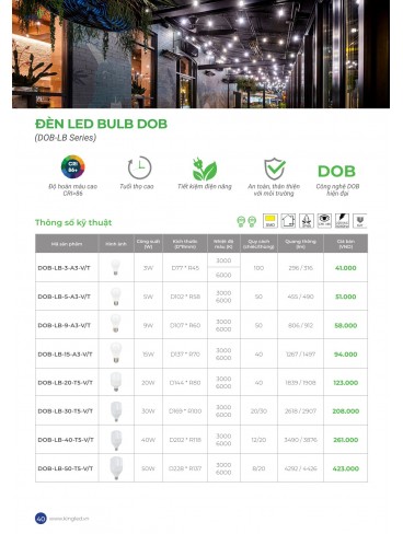 CATALOGUE KINGLED THÁNG 6.2026