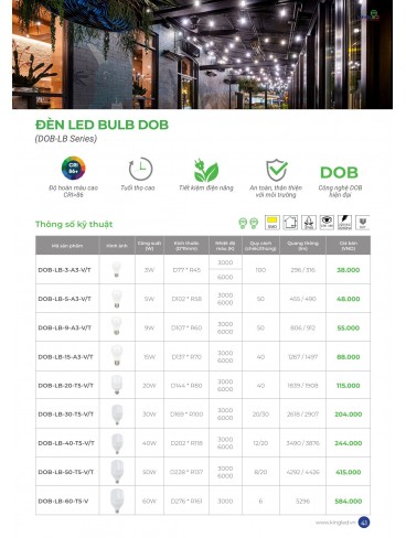 CATALOGUE KINGLED 2025