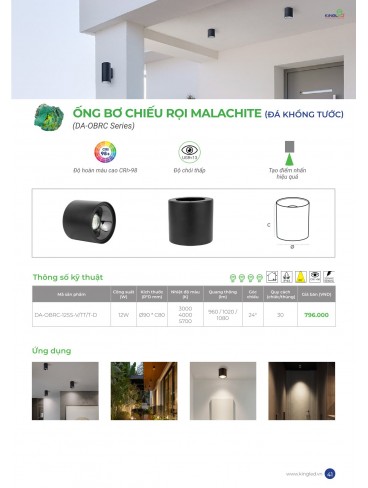 CATALOGUE KINGLED THÁNG 6.2026