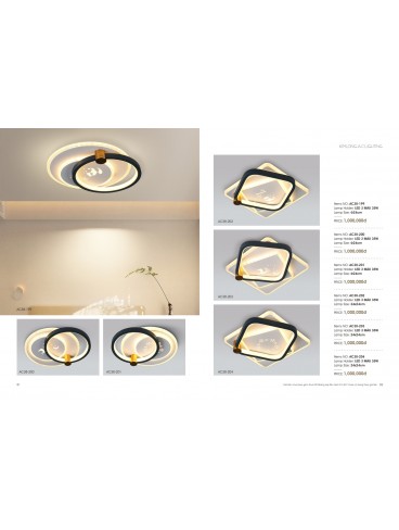 CATALOGUE THÁI KIM LONG 2024