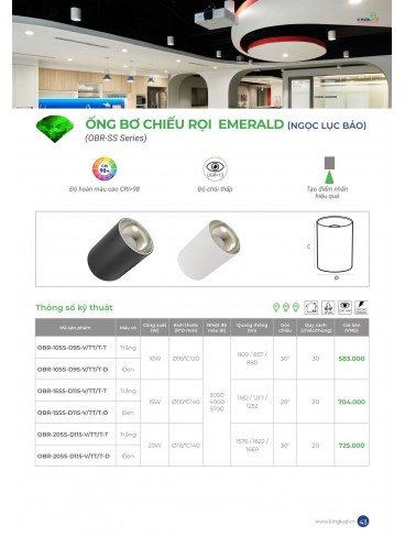 CATALOGUE KINGLED THÁNG 6.2026
