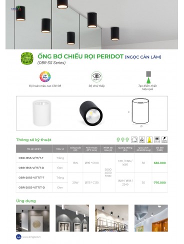 CATALOGUE KINGLED THÁNG 6.2026