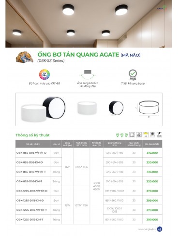 CATALOGUE KINGLED THÁNG 6.2026