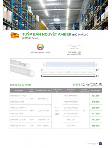 CATALOGUE KINGLED THÁNG 6.2026