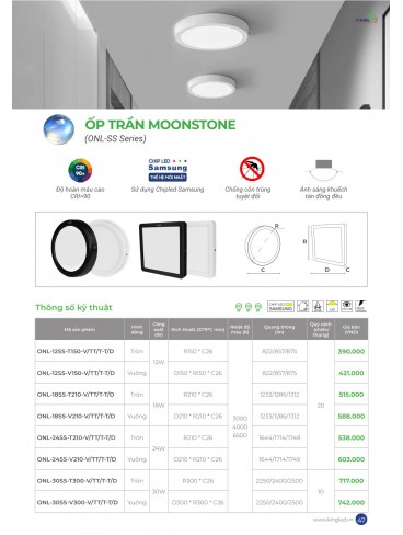 CATALOGUE KINGLED 2025