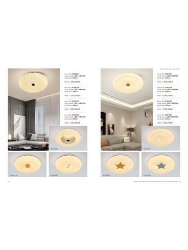 CATALOGUE THÁI KIM LONG 2024