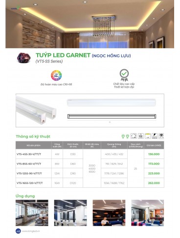 CATALOGUE KINGLED THÁNG 6.2026