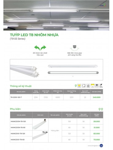 CATALOGUE KINGLED THÁNG 6.2026