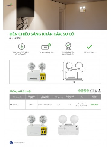 CATALOGUE KINGLED THÁNG 6.2026