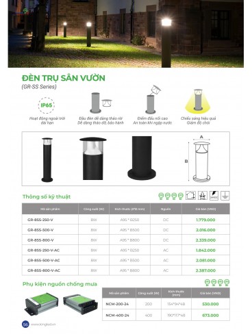 CATALOGUE KINGLED THÁNG 6.2026