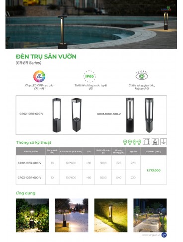 CATALOGUE KINGLED THÁNG 6.2026