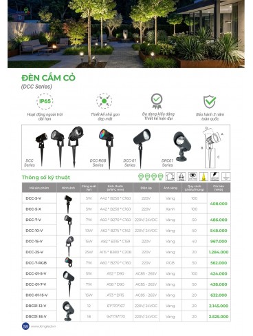 CATALOGUE KINGLED THÁNG 6.2026